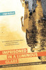 Imprisoned in a Luminous Glare: Photography and the African American Freedom Struggle
