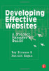 Developing Effective Websites: A Project Manager'S Guide