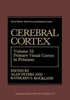 Cerebral Cortex: Volume 10 Primary Visual Cortex in Primates