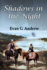 Shadows in the Night: Large Print edition Large Print