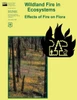 Wildland Fire in Ecosystems: Effects of Fire on Flora
