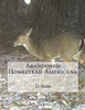 Abandoned Homestead Americana