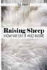 Raising Sheep - How We Do It And More