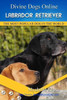 Labrador Retrievers: Divine Dogs Online