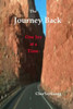 The Journey Back: One Joy at a Time
