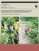 Comprehensive Inventory of Birds and Mammals at Fort Necessity National Battlefield and Friendship Hill National Historic Site