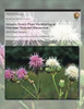 Invasive Exotic Plant Monitoring at Dinosaur National Monument: 2010 Field Season