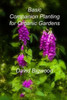 Basic Companion Planting for Organic Gardens