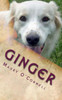 Ginger: Little Dog, Big Trouble