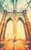 Blind Spot