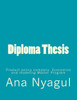 Diploma Thesis: Product policy company Economics and modeling Master Program