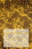 Capitol Art IV: God Light