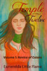 Temple of the Twelve (Volume 1: Novice of Colors)