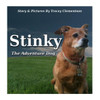 Stinky: The Adventure Dog