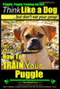 Puggle, Puggle Training AAA AKC: Think Like a Dog, but Don't Eat Your Poop! Puggle Breed Expert Training: Here's EXACTLY How to Train Your Puggle