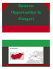 Business Opportunities in Hungary