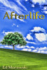 Afterlife