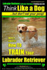 Labrador Retriever, Labrador Retriever Training AAA AKC: Think Like a Dog But Don't Eat Your Poop! Breed Expert Training: Here's EXACTLY How To TRAIN