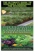 The Ultimate Guide to Vegetable Gardening for Beginners & The Ultimate Guide to Companion Gardening for Beginners