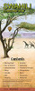 Swahili A Language Map&Reg;
