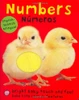 Bright Baby Touch & Feel: Bilingual Numbers: English-Spanish Bilingual (Bright Baby Touch And Feel)