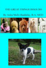 The Great Things That dogs Do: Pets/Dogs