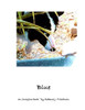 Blue an imagine book