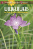 Wildflowers Of The Desert Southwest