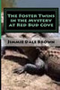 The Foster Twins in the Mystery at Redbud Cove: The Mysterious Ring