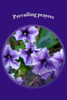 Prevailing prayers: powerful prayers