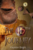 The Thirteenth Journey