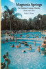 Magnesia Springs In Alachua County, Florida: Then and Now