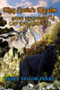 King Satin's Realm: The Legend of Draconis: The Legend Unfolds