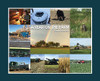 A Year On The Farm