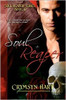 Soul Reaper Series Book II: Soul Reaper