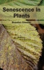 Senescence in Plants