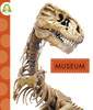 Museum