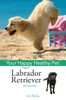 Labrador Retriever: Your Happy Healthy Pet