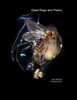 Dead Bugs And Poetry
