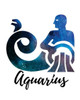 Aquarius: Aquarius Cornell Notes