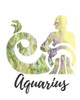 Aquarius: Aquarius Cornell Notes