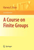 A Course on Finite Groups