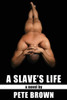 A Slave's Life