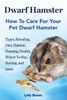 Dwarf Hamster: Types, Breeding, Diet, Habitat, Housing, Health, Where To Buy, Raising, and more.. How To Care For Your Pet Dwarf Hamster.