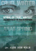 Spring or Cruel Winter?: The Evolution of the Arab Revolutions