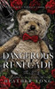 Dangerous Renegade