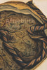 Afterbirth
