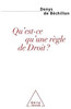 What Is a Rule of Law? / Qu'est-ce qu'une règle de Droit?