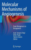 Molecular Mechanisms of Angiogenesis: From Ontogenesis to Oncogenesis