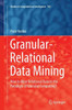Granular-Relational Data Mining: How to Mine Relational Data in the Paradigm of Granular Computing?
